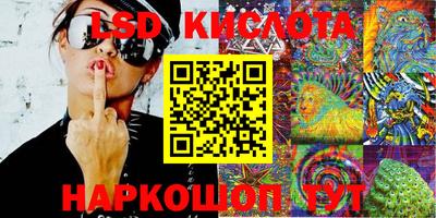 индика Камышлов