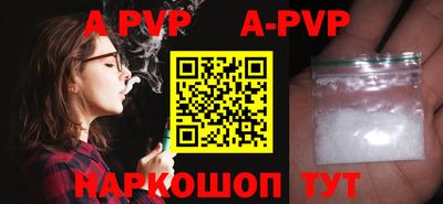 индика Камышлов