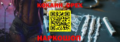 индика Камышлов