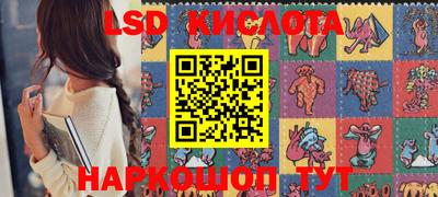 индика Камышлов