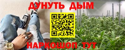 индика Камышлов