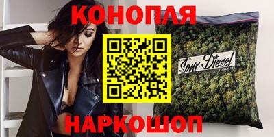 индика Камышлов