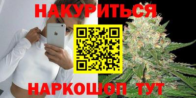индика Камышлов