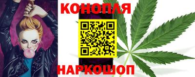 индика Камышлов