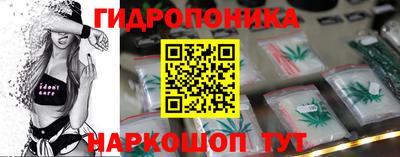 индика Камышлов