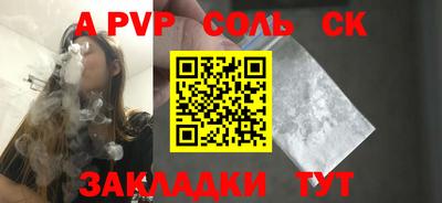 индика Камышлов