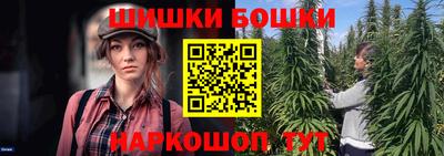 индика Камышлов