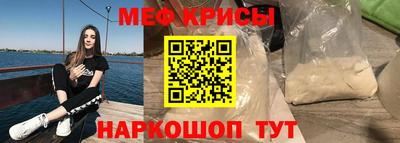 индика Камышлов