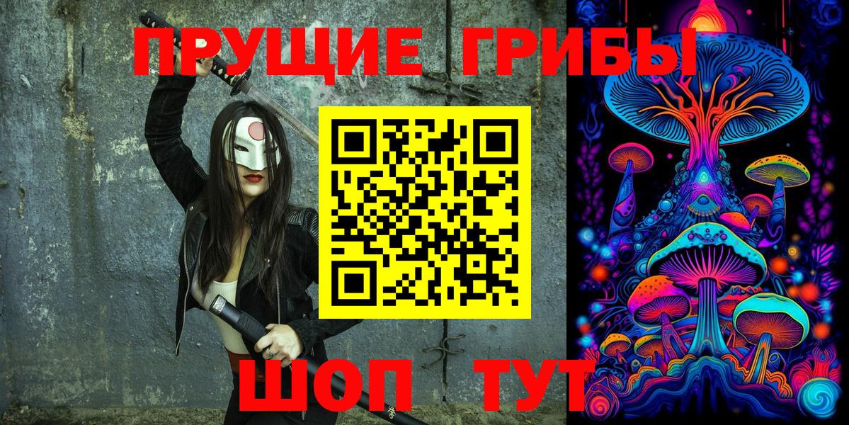 Курчалой  Псилоцибиновые грибы прущие грибы  где купить наркотик  Вход с VPN 